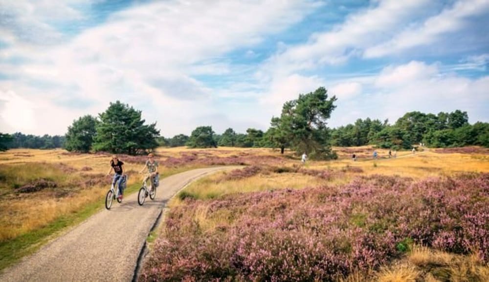 Chalet in Veluwe Near Kootwijkerzand
