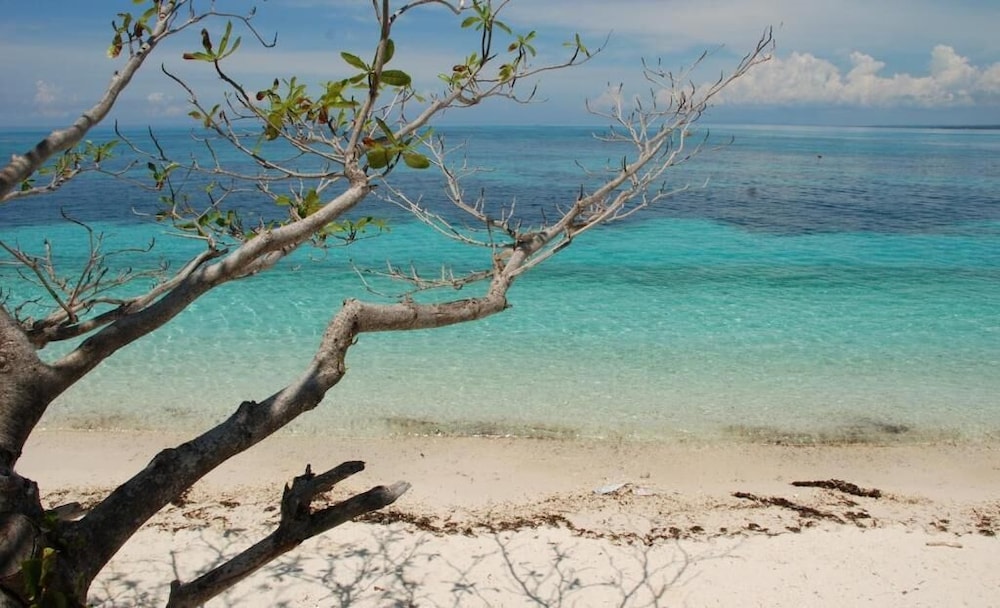 Malapascua Beach and Dive Resort