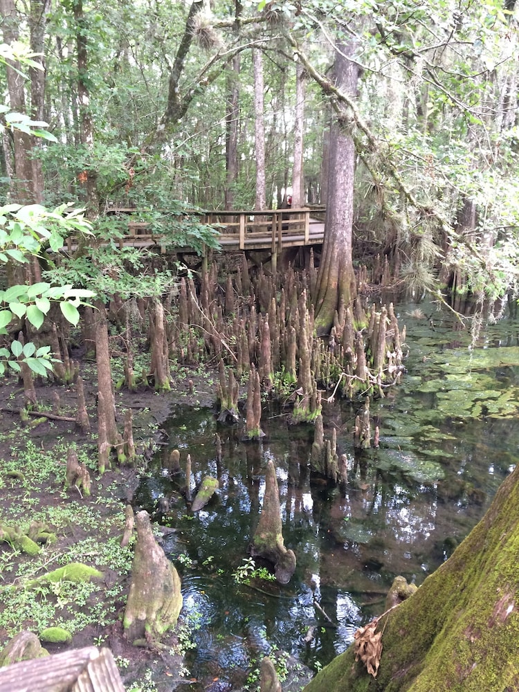 Steinhatchee River Inn