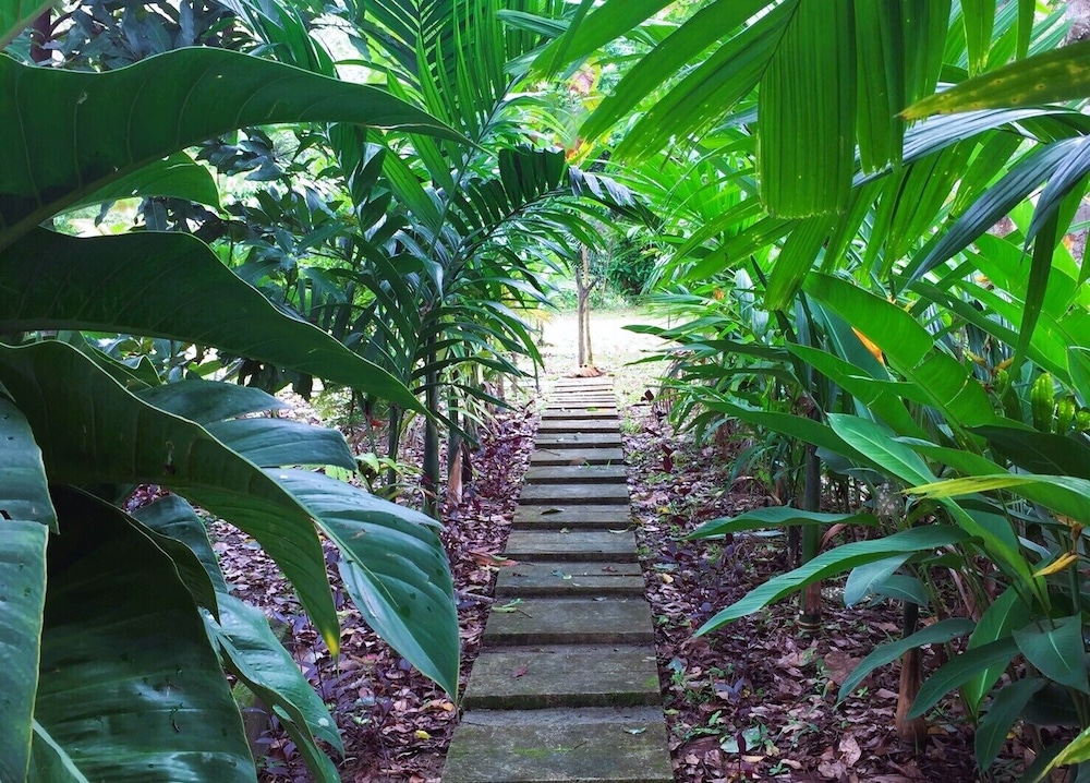 Baansuan Suksangob Farm Stay view 4