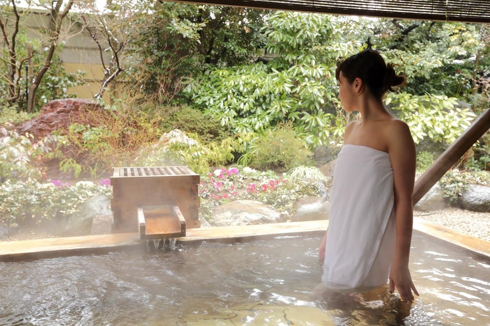 Awara Onsen Seifuso