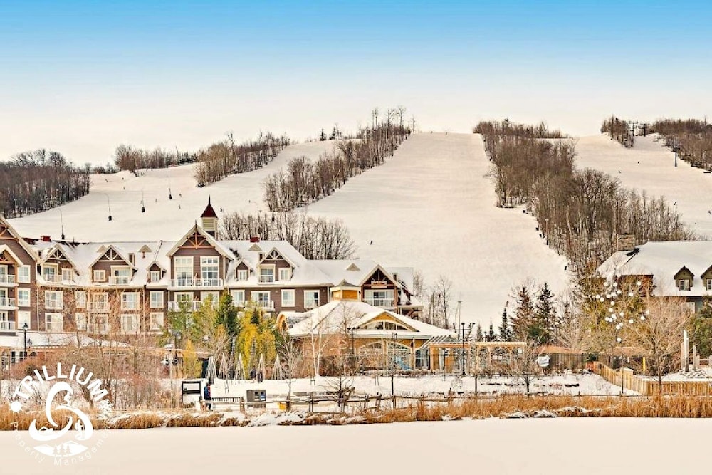 Blue Mountain Collingwood Loft Condo