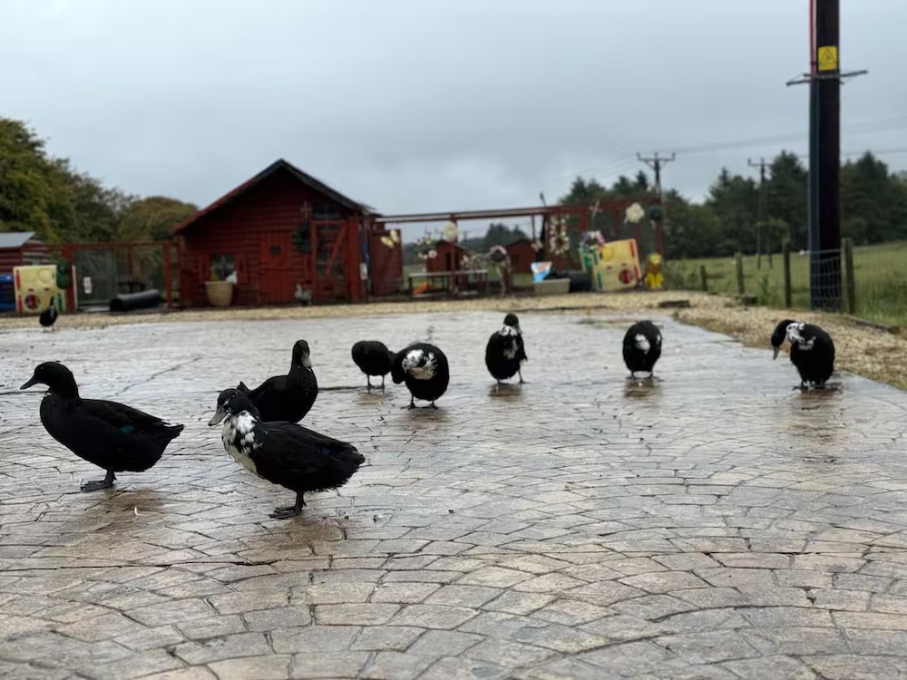 Shottskirk 5-bed Farmstay, Sleeps 13 With Hot Tub