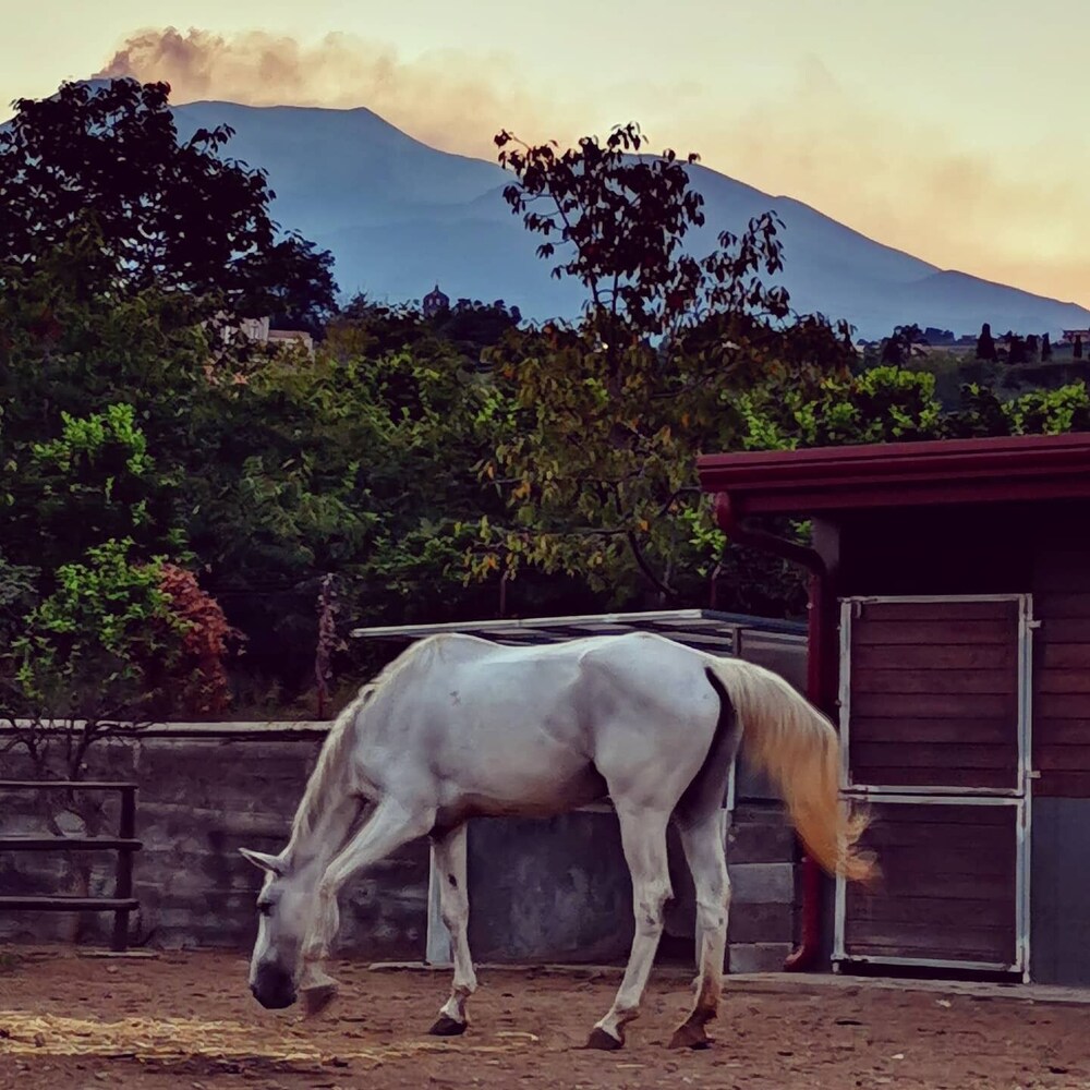 Petralava Etna B&B