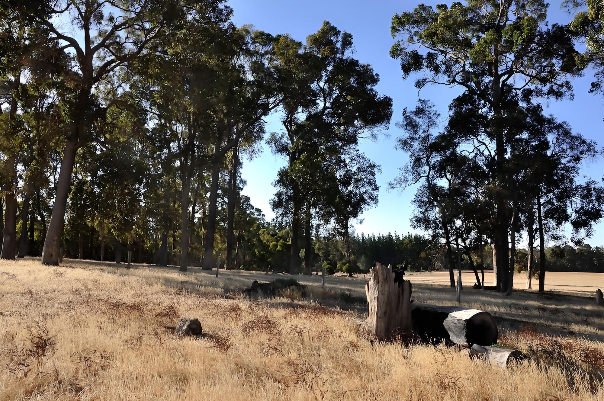 Wilga Farm Stay