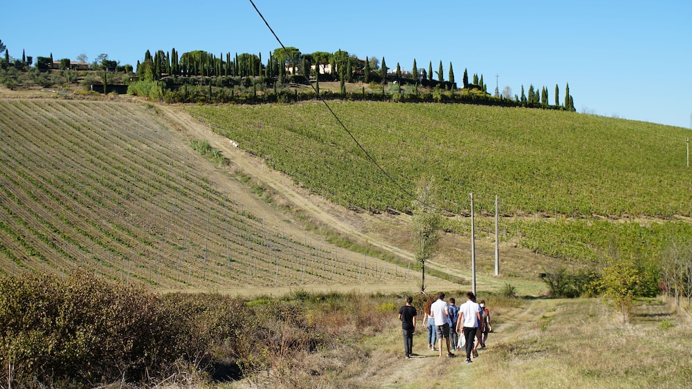 Isola Verde