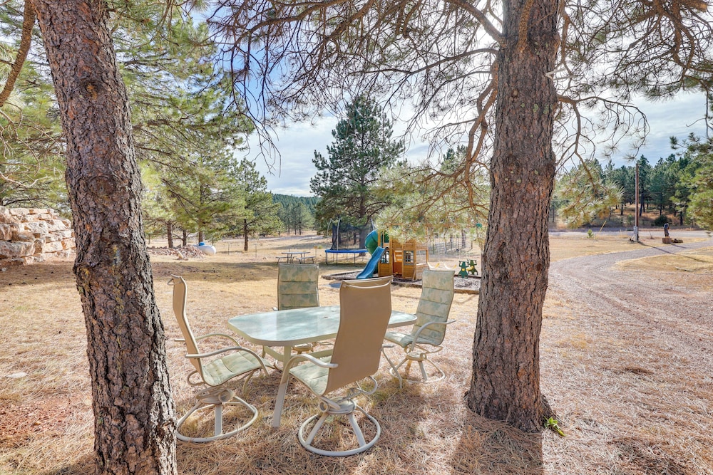 Cozy Tiny Cabin Near Mount Rushmore! view 3