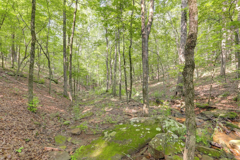 Trails & Creek On-site: Ozarks Retreat on 23 Acres