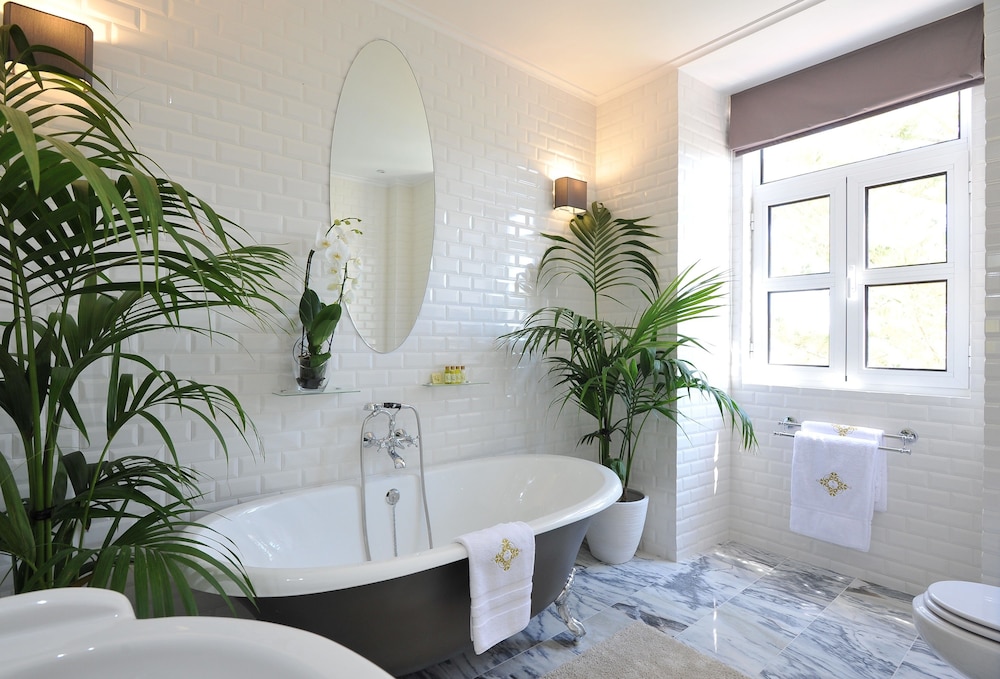 Fonte da Foz Bed & Breakfast Terrace