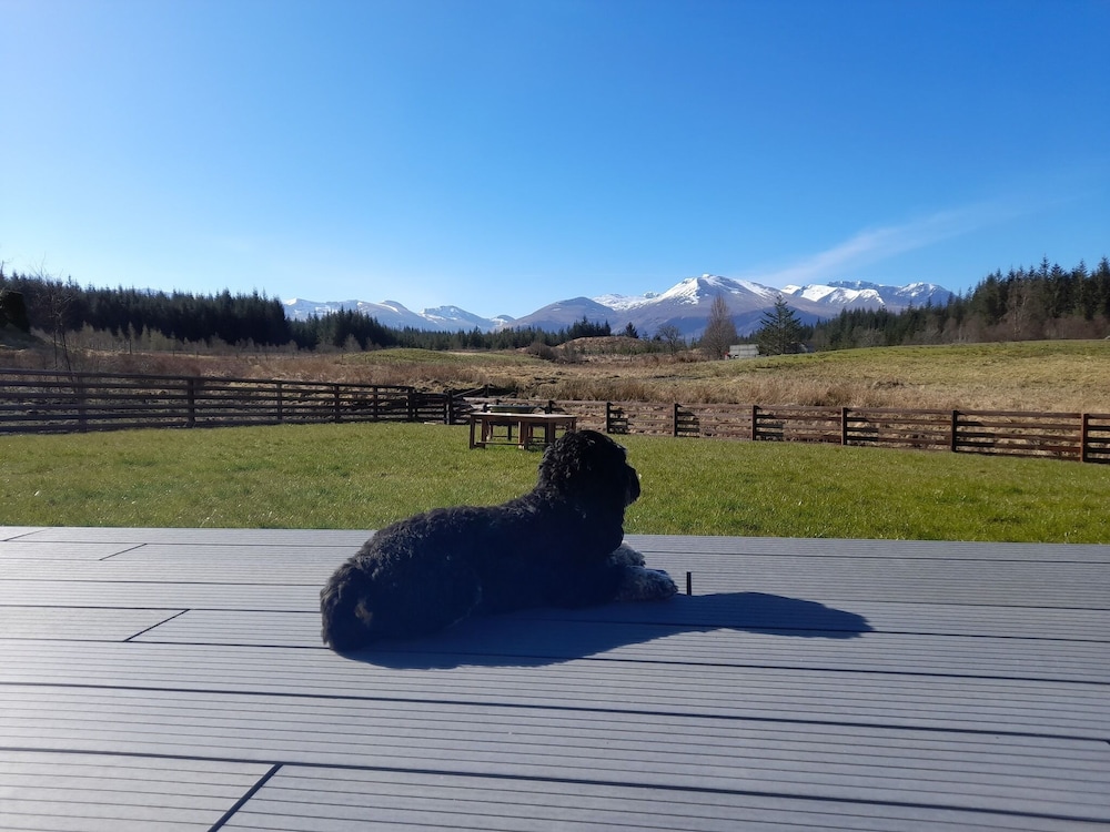 Toradh Cabin