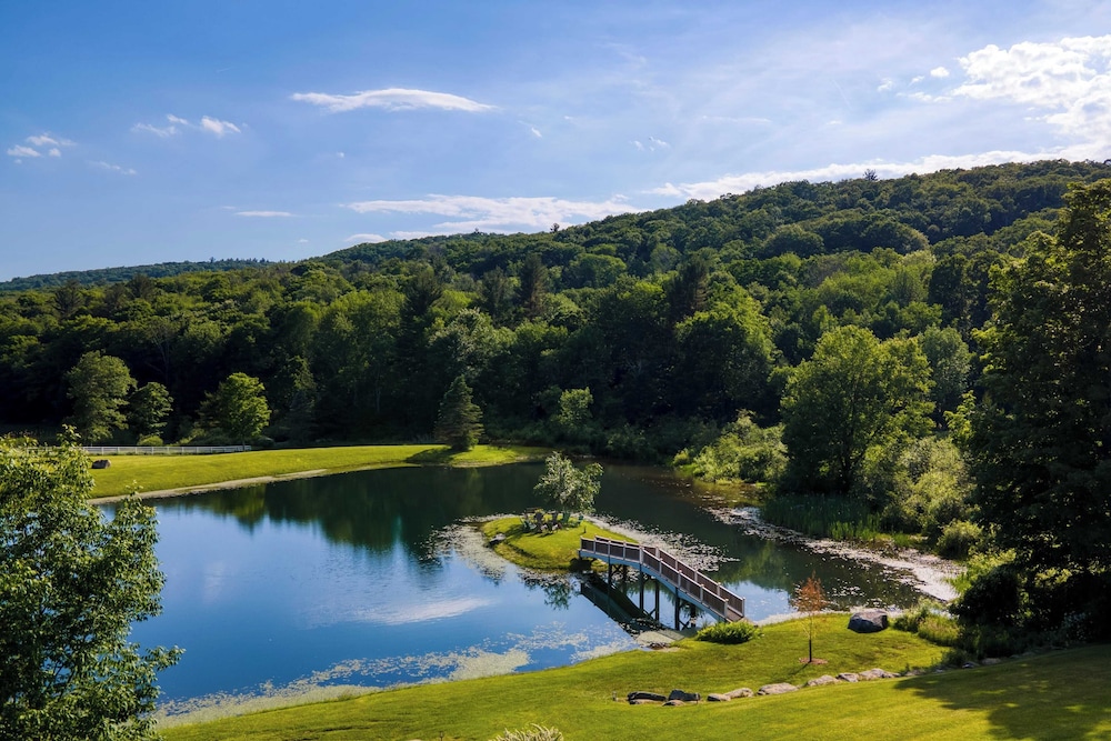 Secluded Berkshires Estate + Private Pond/pool,theater, Gym Sunny Pond