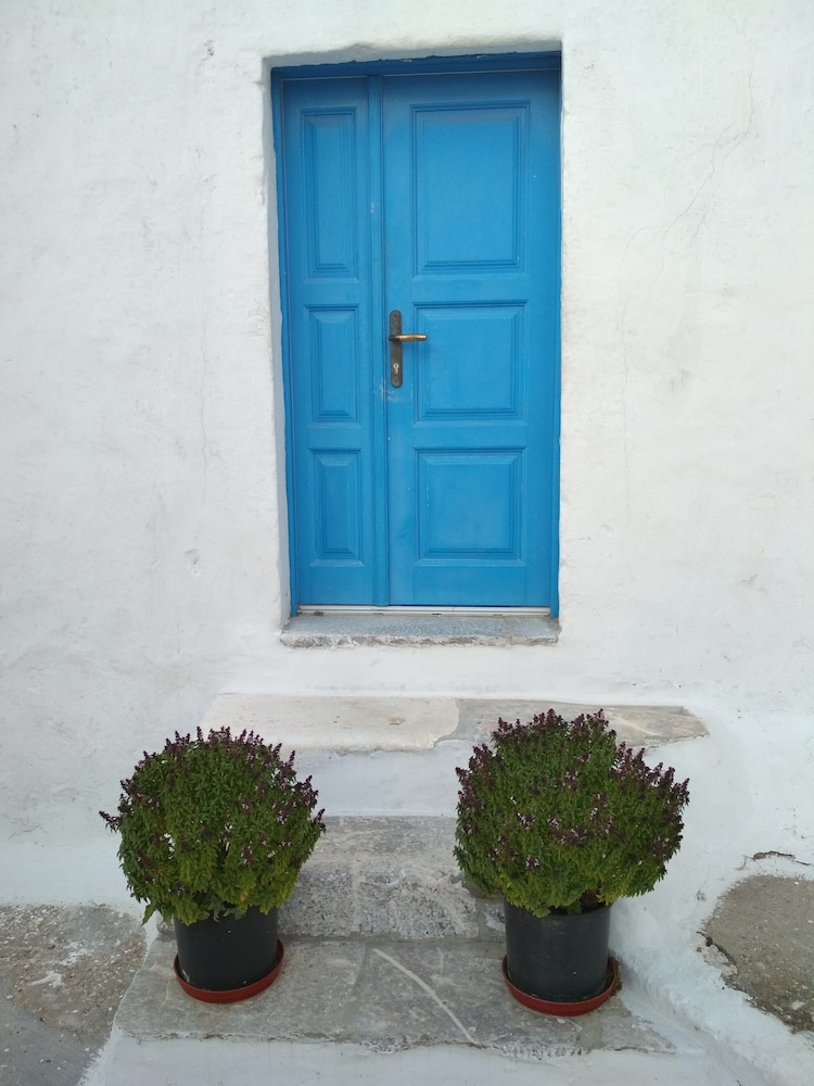 Photo 44