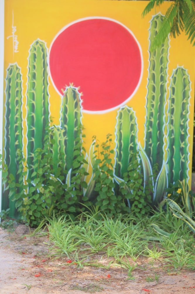 Photo 23