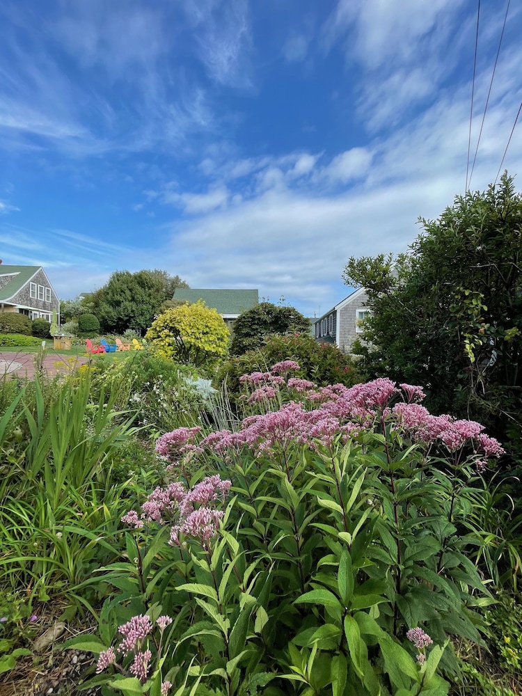 Sea Breeze Inn
