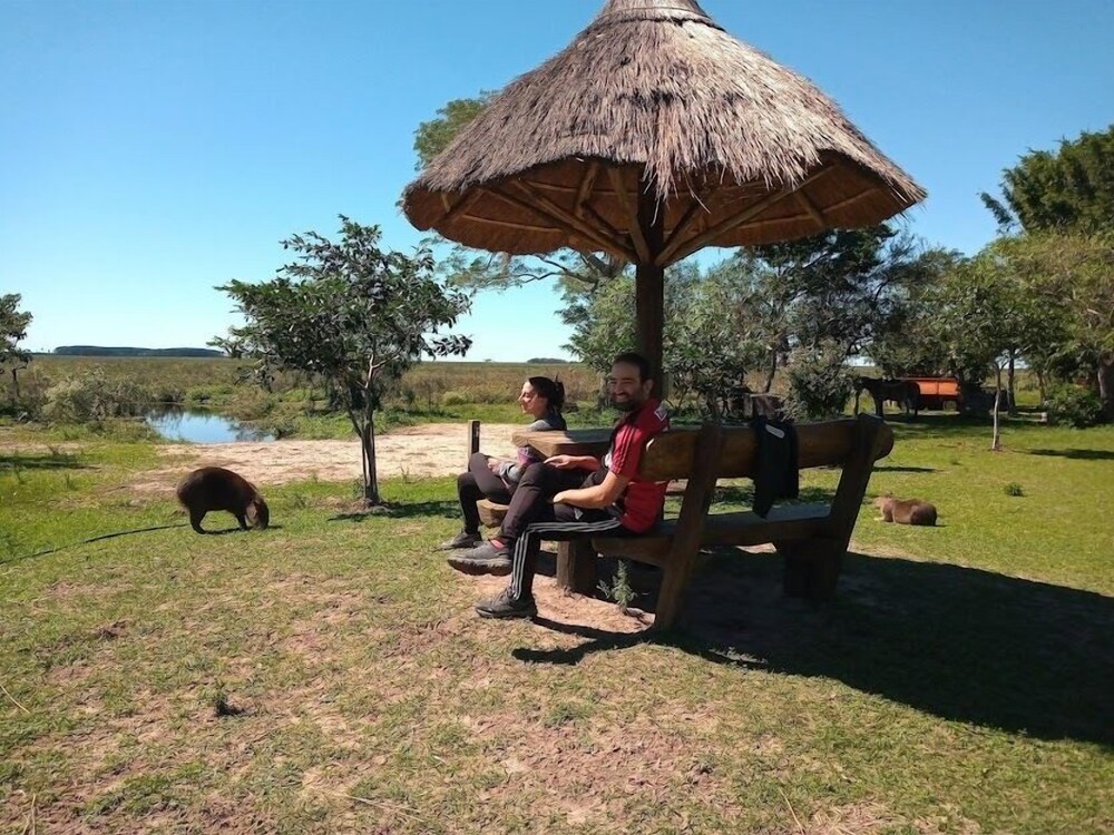Wild Wetlands Lodge