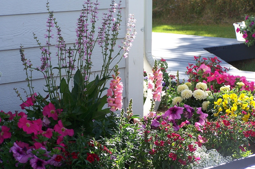 Denali Primrose B&B