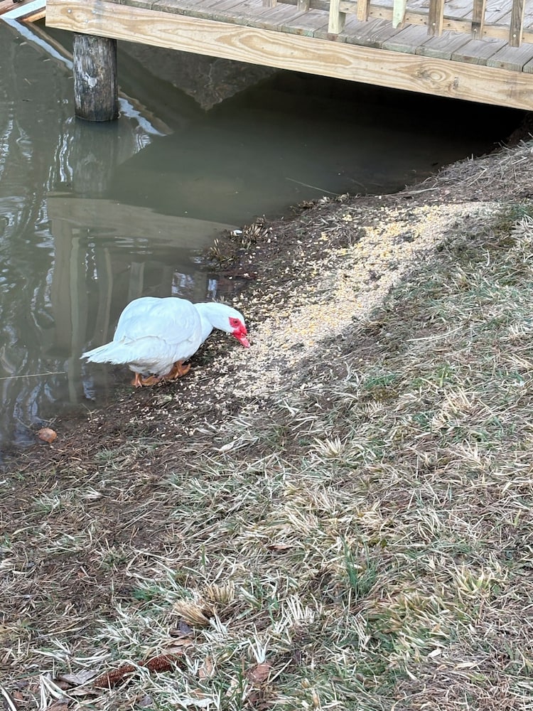 Newly Listed-Private 25-Acre Escape Near Red River Gorge