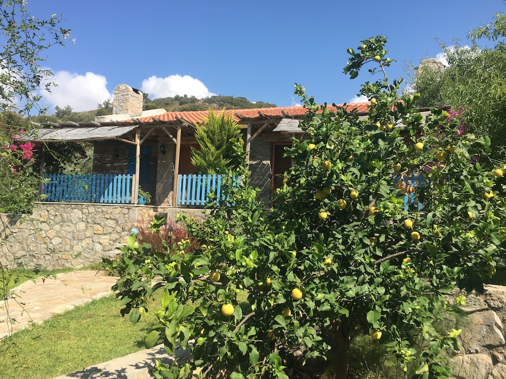 Koy Evi Apart