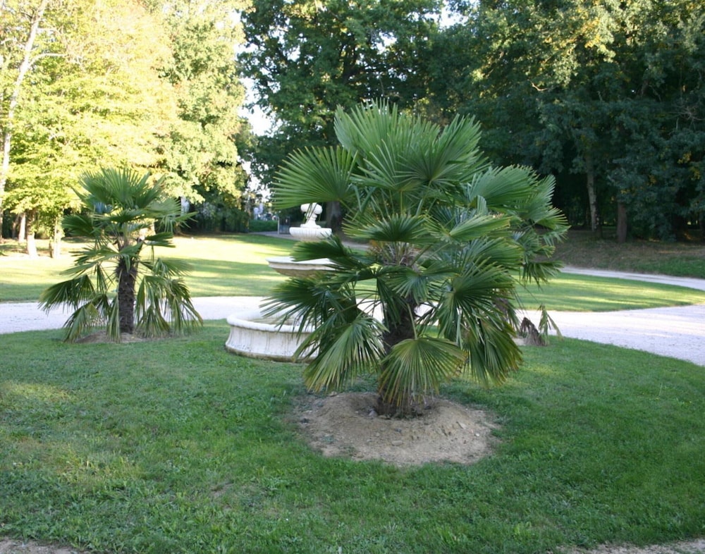 Estate in Pyrenees With Pool and Golf Nearby