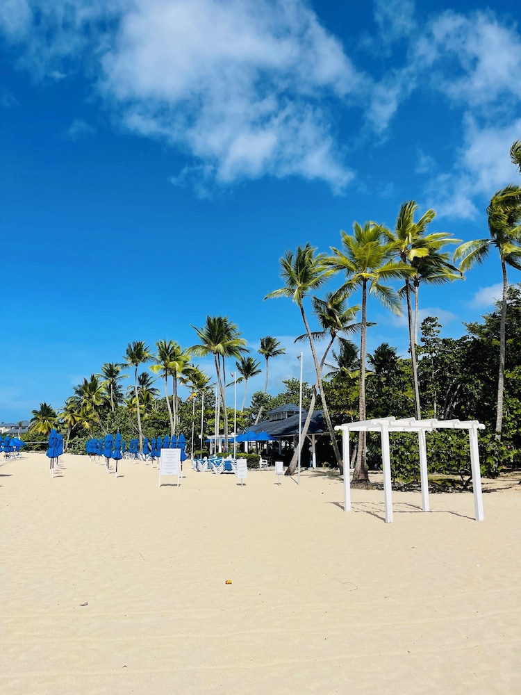 Playa Dorada King Bed Beachfront