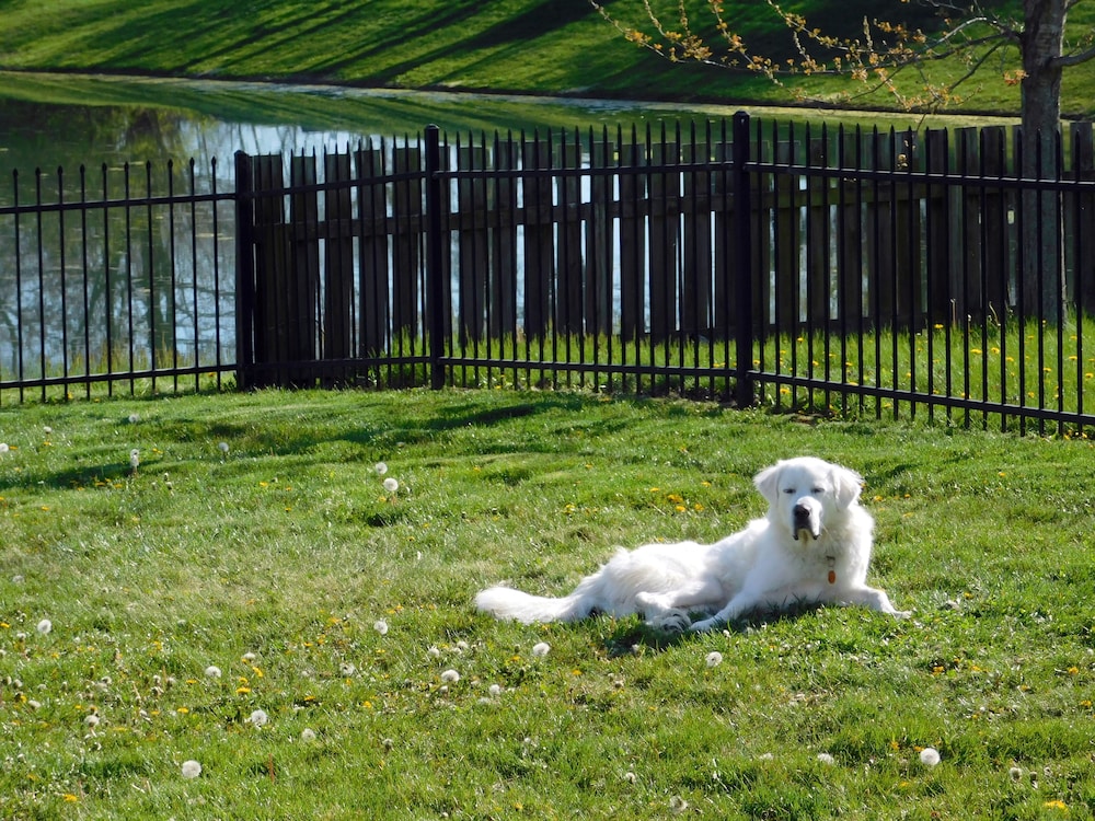 Evonne's Sharing House - Property Image 10