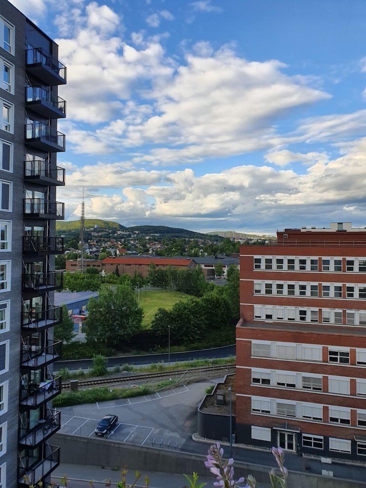 Oslo Golden Choice