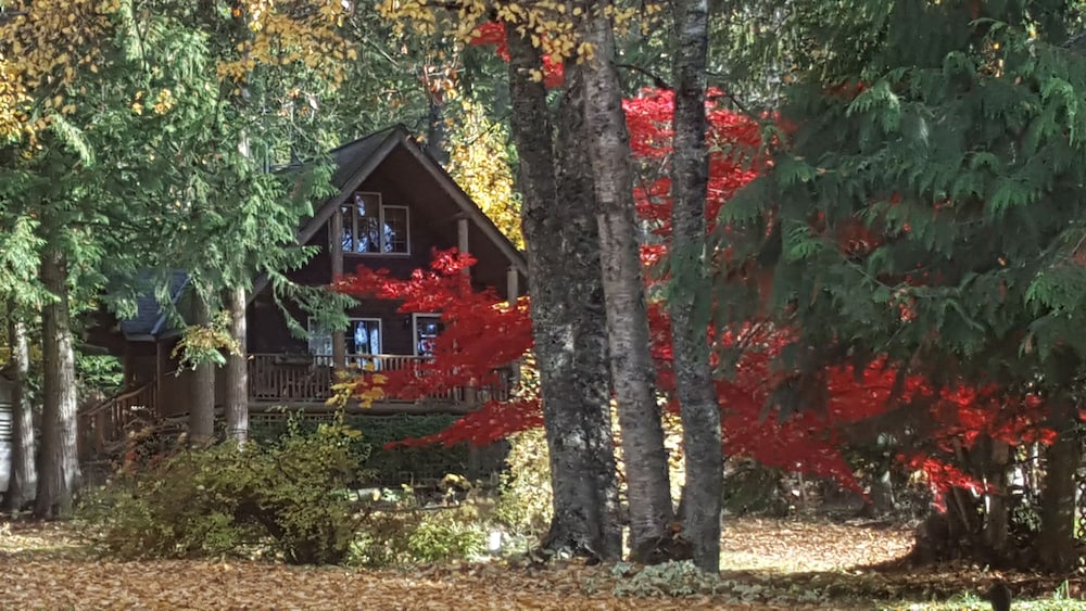 Wedgwood Manor and Glamping Retreat