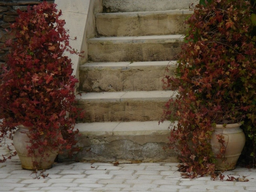 Manoir de la Rivière