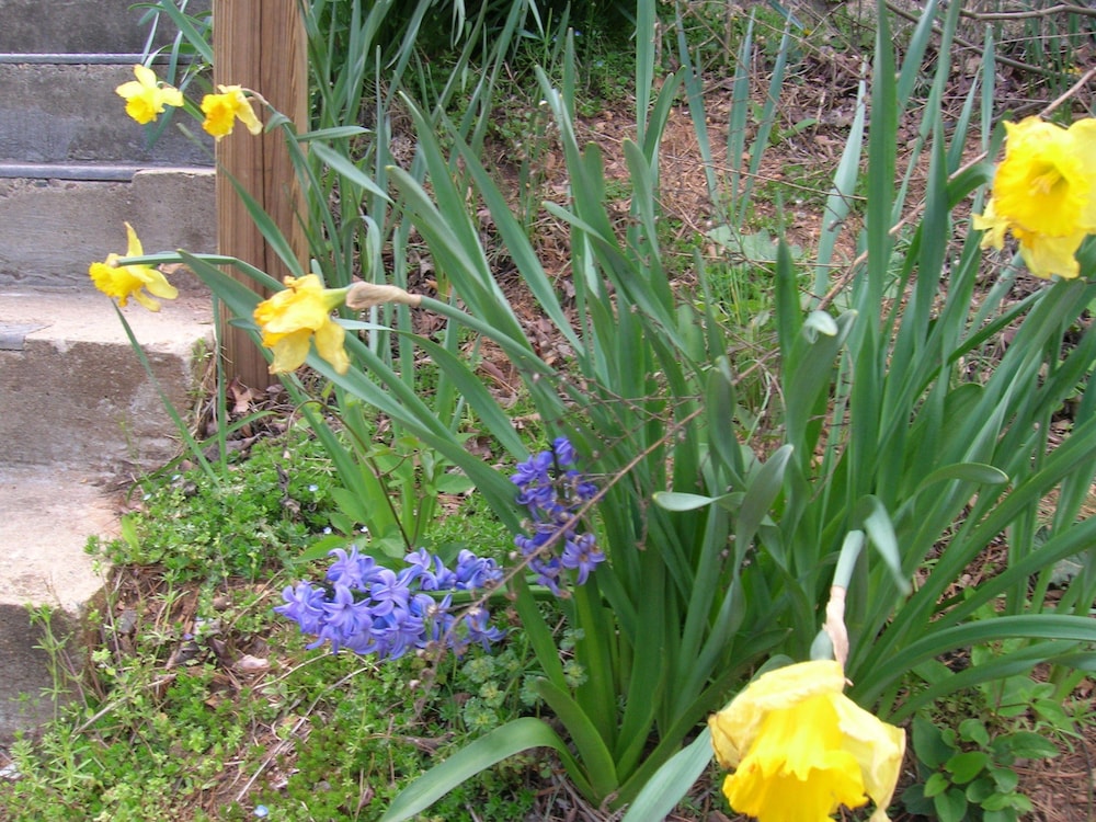 Photo 21