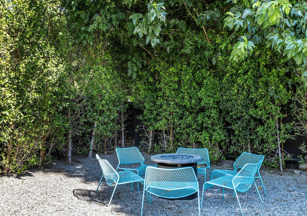 Bright & Harmonious Oasis