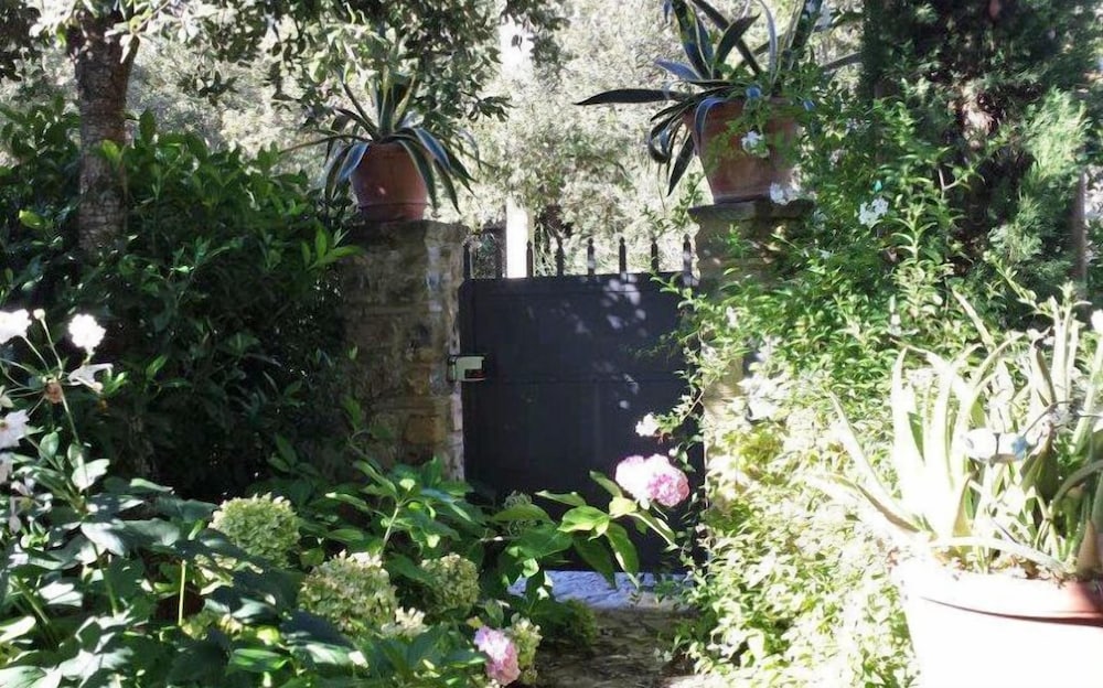 Villa Nova