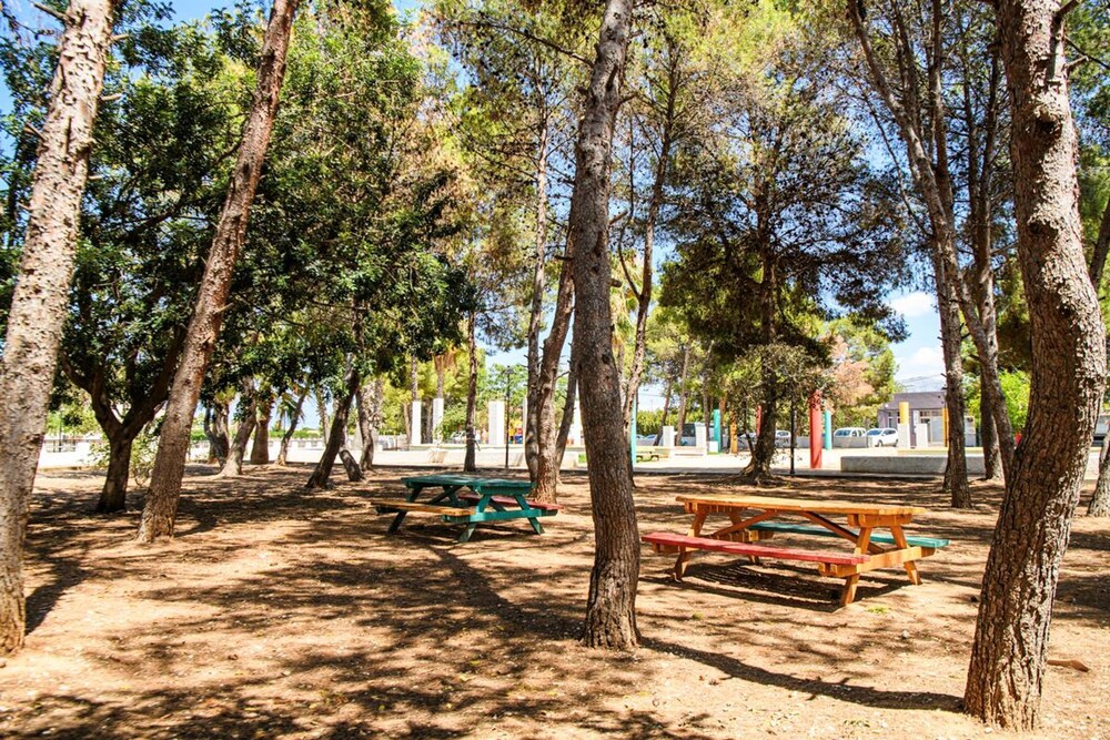 Artesol in Platja de l Arenal