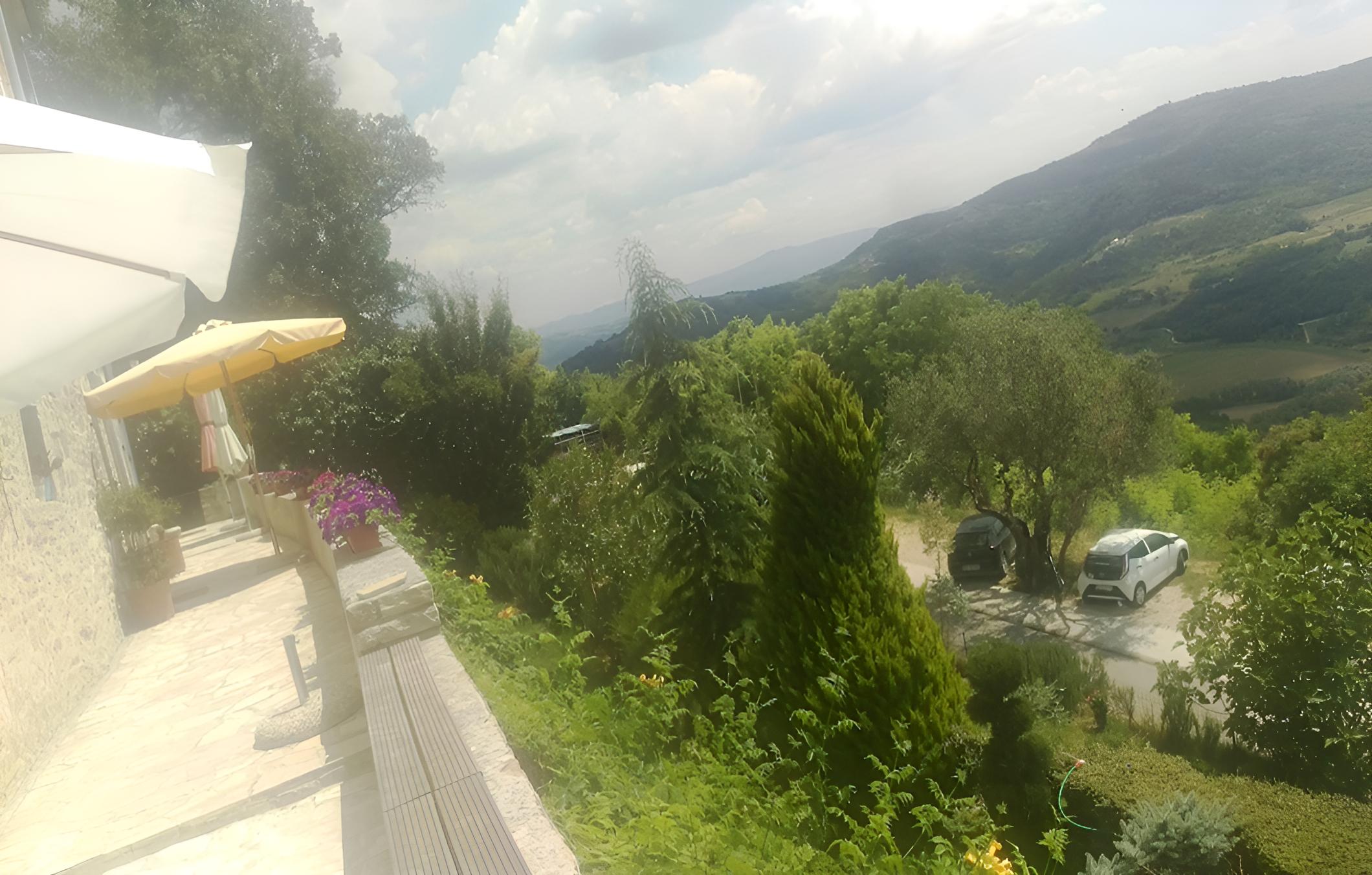 Photo 44