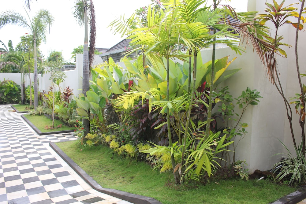 The Kayuputih
