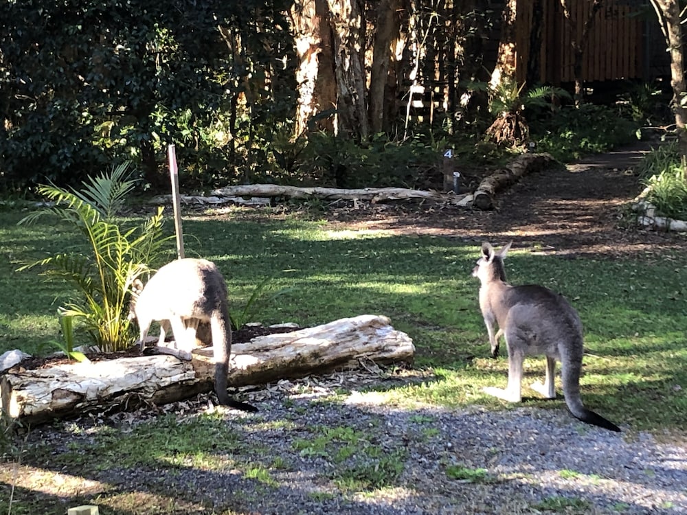 Wanderers Retreat Port Stephens