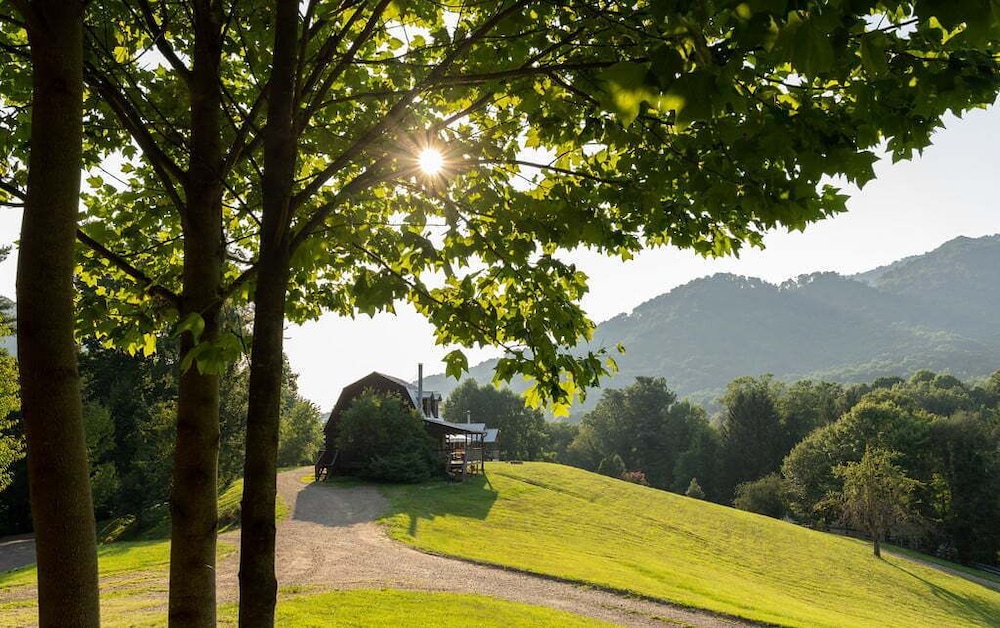 Engadine Inn  Cabins - Property Image 57