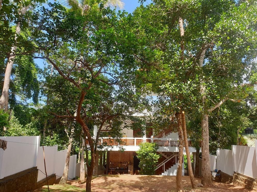 Cocosurf House