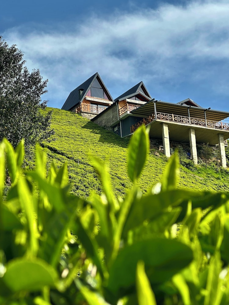 CELAZENİ BUNGALOV