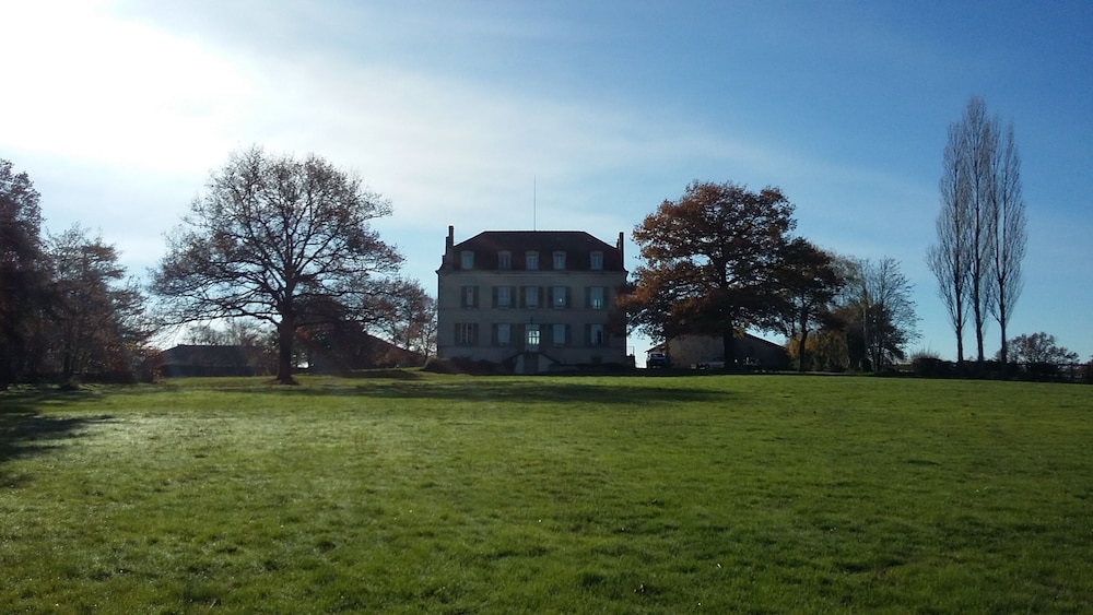 Photo 41