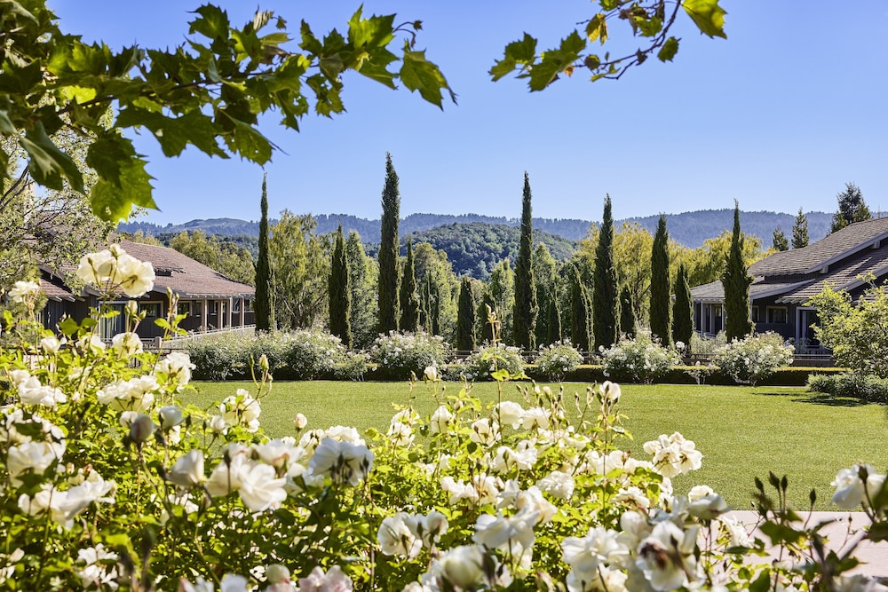 Rosewood Sand Hill 48