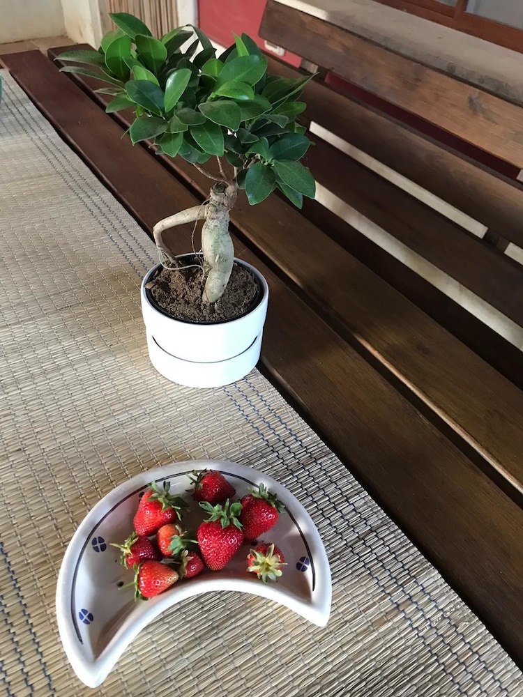 Bed&Breakfast Villa Mamma Grazia, photo 34