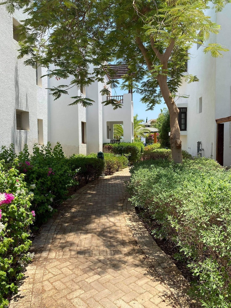 Stațiunea Delta Sharm Egipt view 3