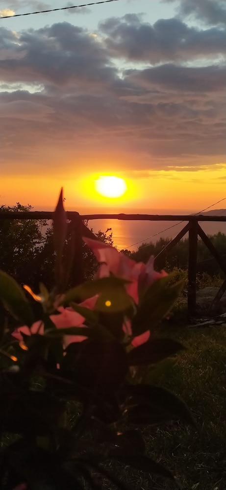 AGRITURISMO  LA FOCAZZA