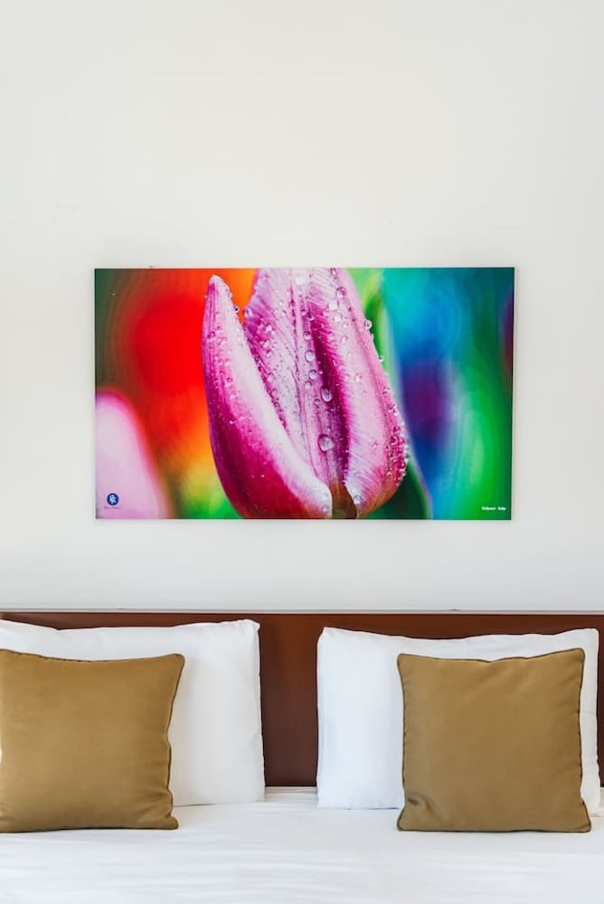 Spacious Apartment by the Beach - Tulipani