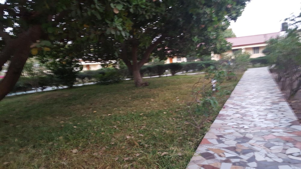 Photo 41