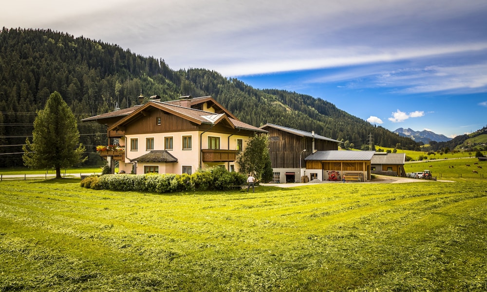 Bio-Bauernhof Vierthalerhof view 5