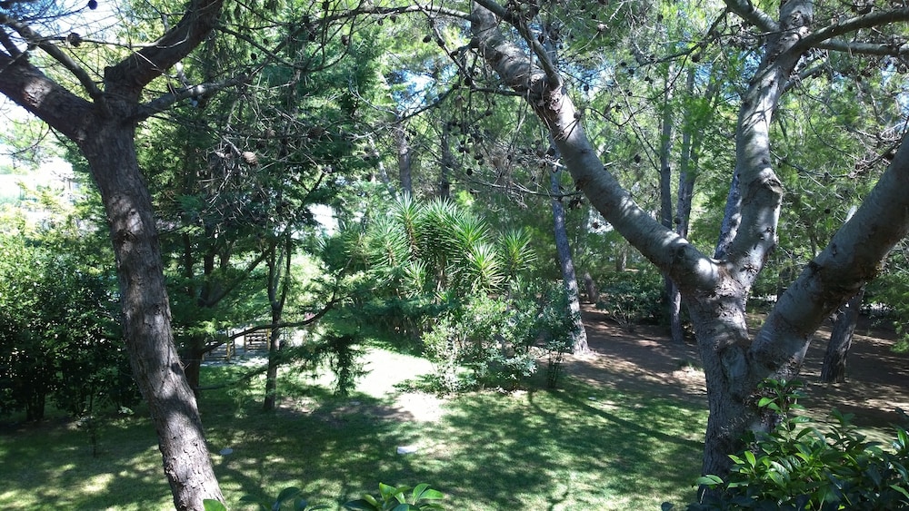 Tenuta Belvedere