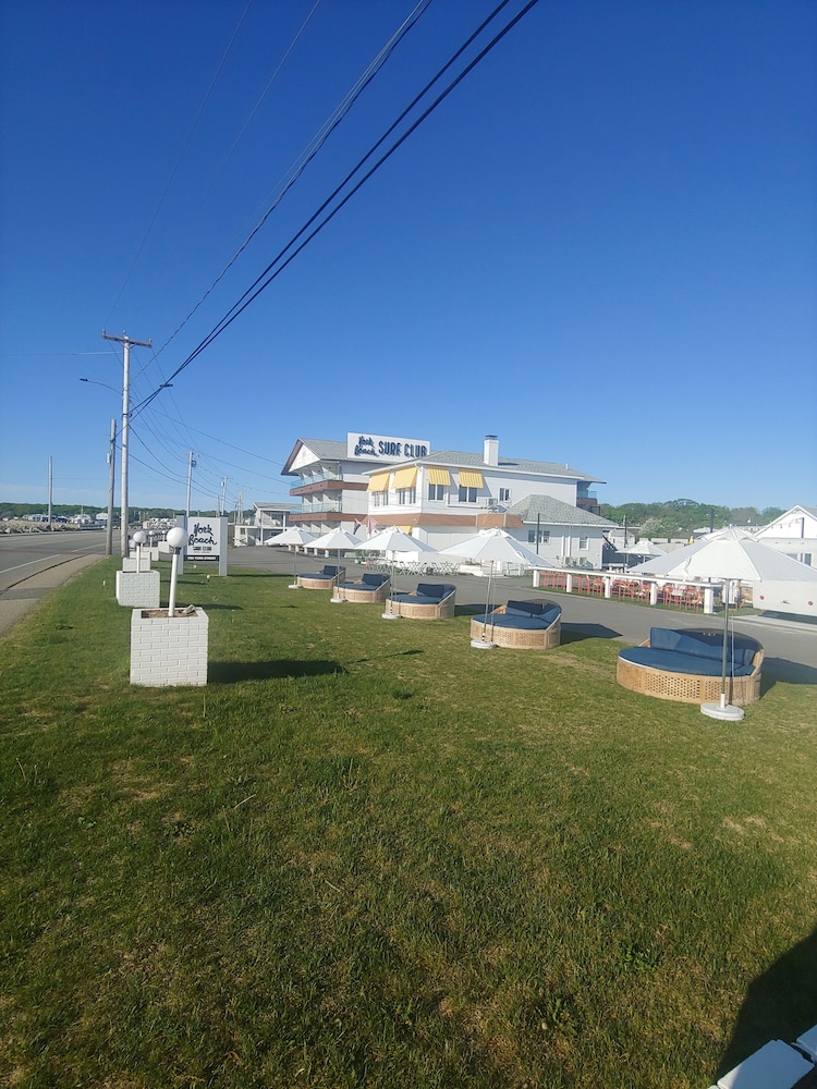 York Beach Surf Club