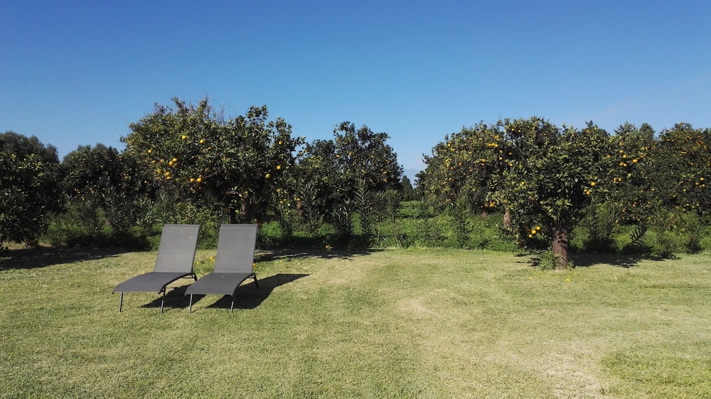 Photo 44