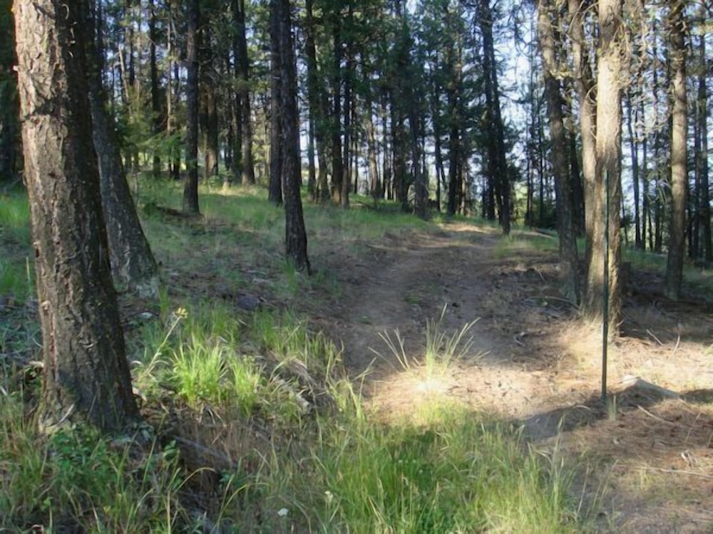 Crooked Tree Guest Suites